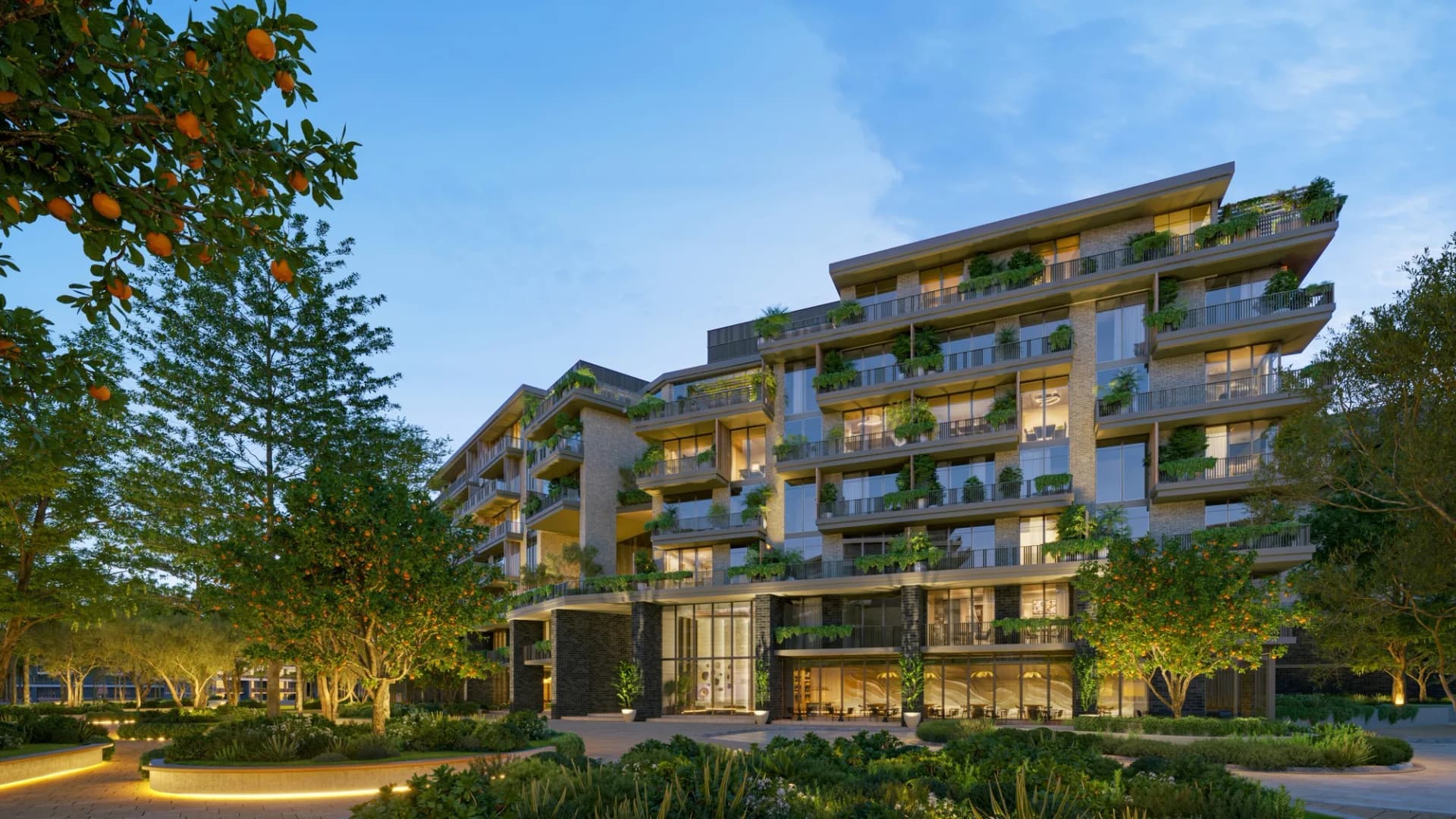 Arancia Yards 3